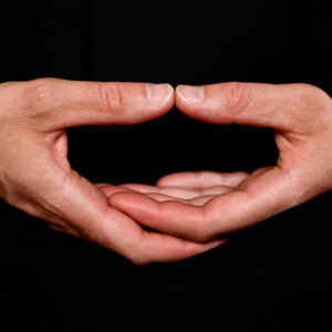 Introducción a Zazen en Alicante enero 2025