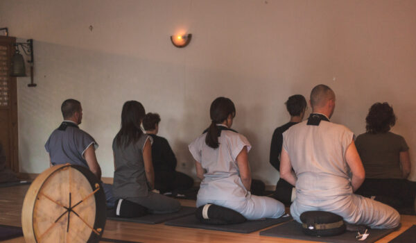 La fuerza compartida de la meditación en grupo