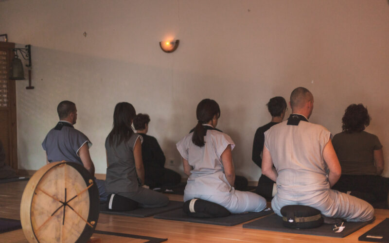 La fuerza compartida de la meditación en grupo