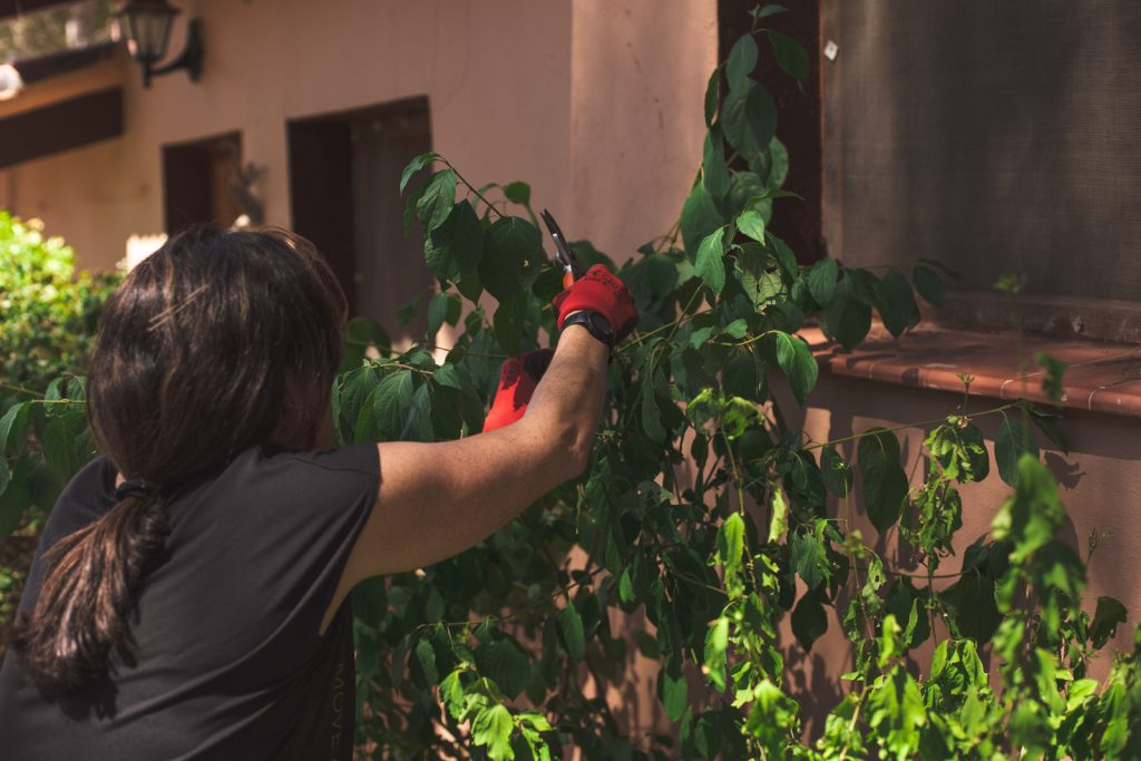 Practicante de meditación zen realizando samu, el trabajo consciente, en la Comunidad Soto Zen Camino Medio