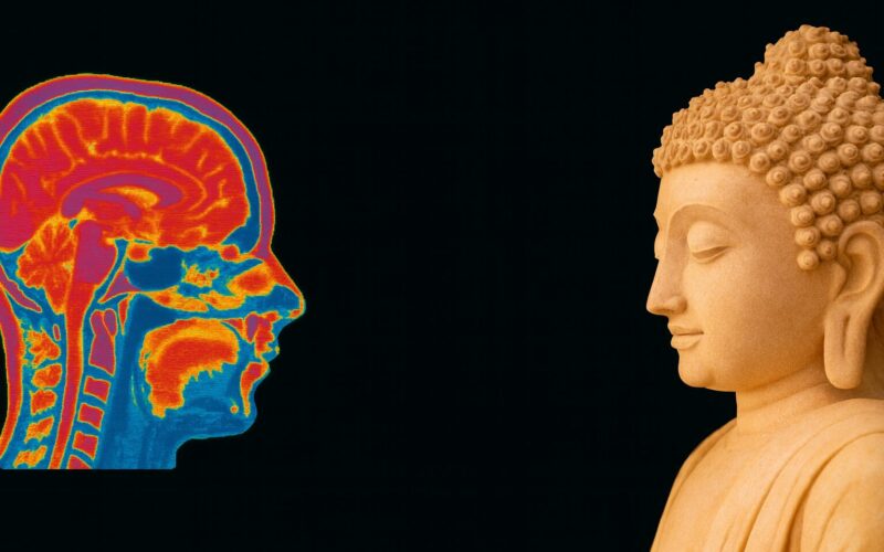 Budismo y neurociencia