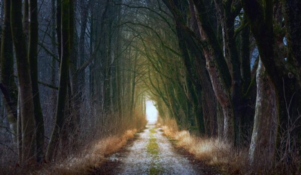 Sesshin de Invierno 2026